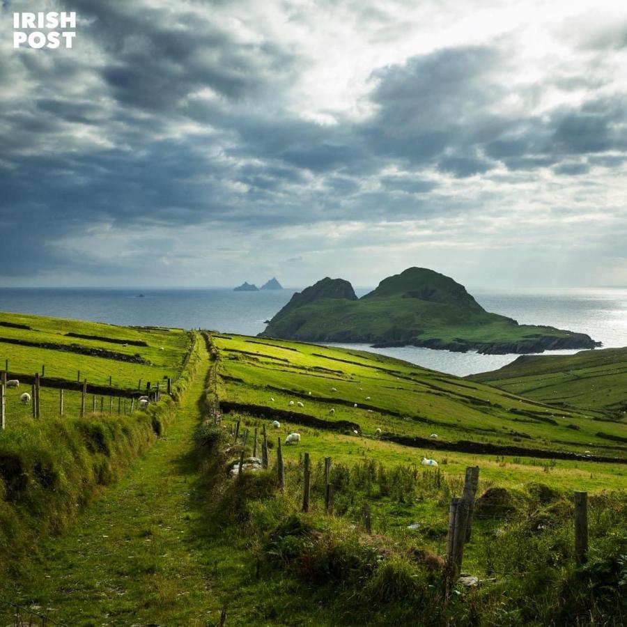Skellig Port Accommodation - 1 Studio Bed Apartment Portmagee Exterior photo